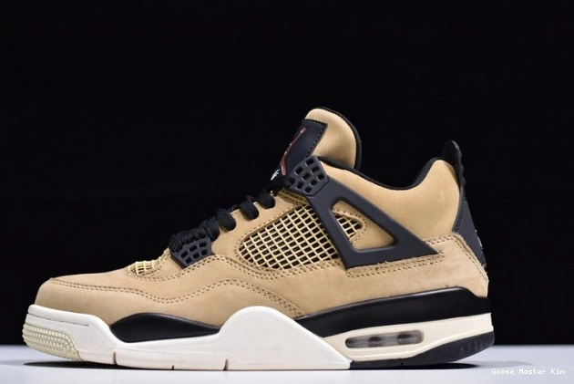 4 Air Jordan Mushroom AQ9129-200 0809